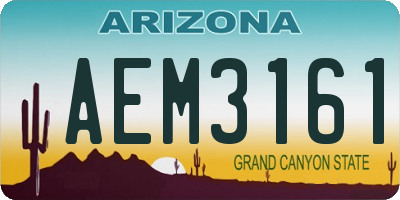 AZ license plate AEM3161