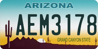 AZ license plate AEM3178