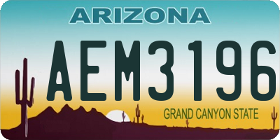 AZ license plate AEM3196
