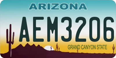 AZ license plate AEM3206