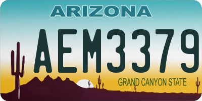 AZ license plate AEM3379