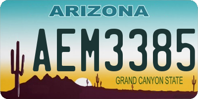 AZ license plate AEM3385