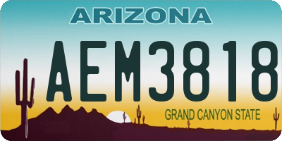 AZ license plate AEM3818