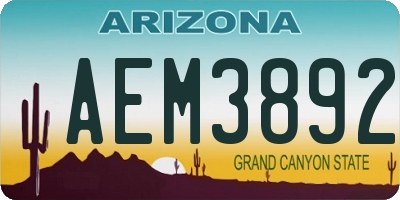 AZ license plate AEM3892