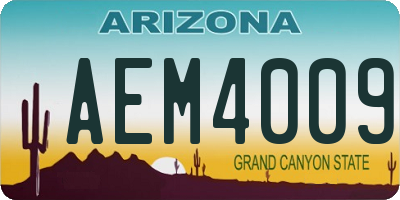 AZ license plate AEM4009