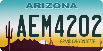 AZ license plate AEM4202