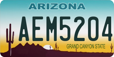 AZ license plate AEM5204