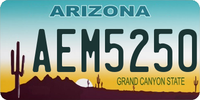 AZ license plate AEM5250