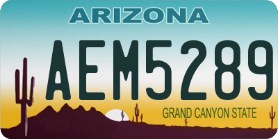 AZ license plate AEM5289
