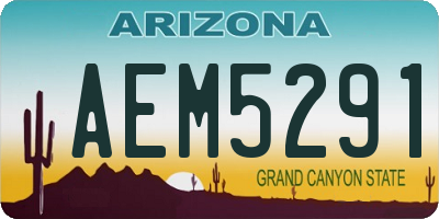 AZ license plate AEM5291