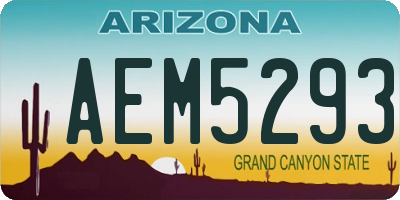 AZ license plate AEM5293