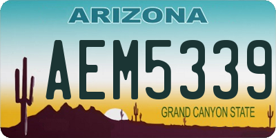 AZ license plate AEM5339