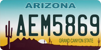 AZ license plate AEM5869