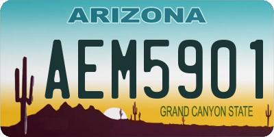 AZ license plate AEM5901