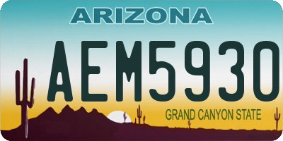 AZ license plate AEM5930