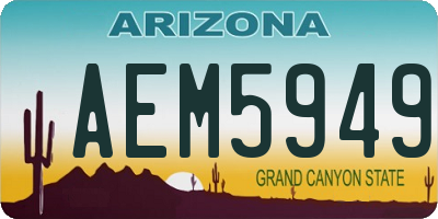 AZ license plate AEM5949