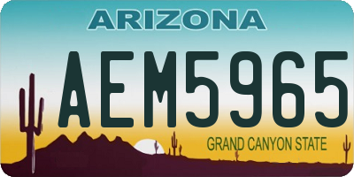 AZ license plate AEM5965