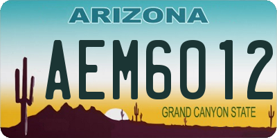 AZ license plate AEM6012