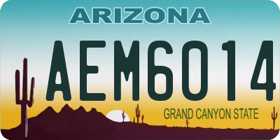 AZ license plate AEM6014