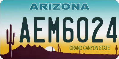AZ license plate AEM6024