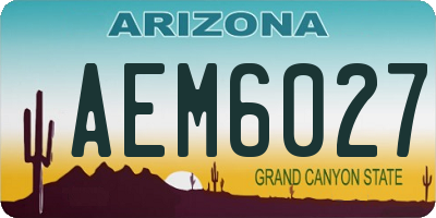 AZ license plate AEM6027