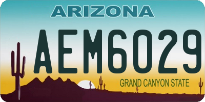 AZ license plate AEM6029