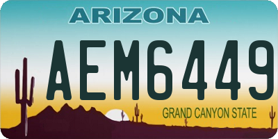 AZ license plate AEM6449