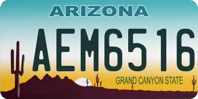 AZ license plate AEM6516