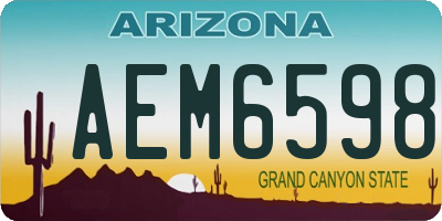 AZ license plate AEM6598
