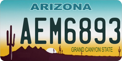 AZ license plate AEM6893