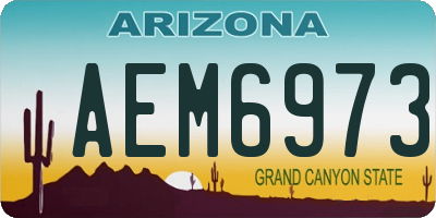 AZ license plate AEM6973