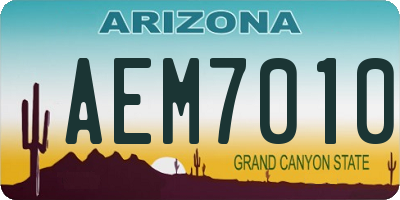 AZ license plate AEM7010