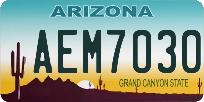 AZ license plate AEM7030