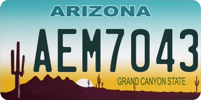 AZ license plate AEM7043