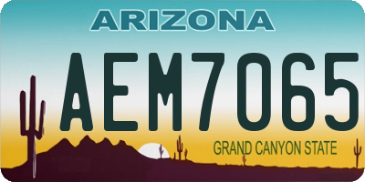 AZ license plate AEM7065
