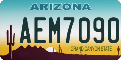 AZ license plate AEM7090