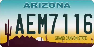 AZ license plate AEM7116