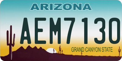 AZ license plate AEM7130
