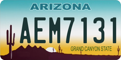 AZ license plate AEM7131
