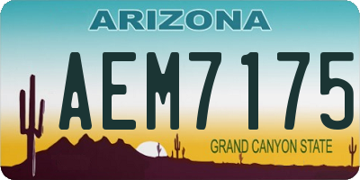 AZ license plate AEM7175