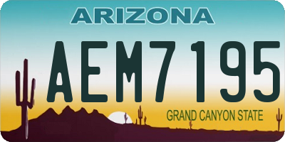 AZ license plate AEM7195