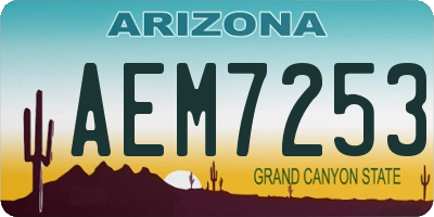 AZ license plate AEM7253