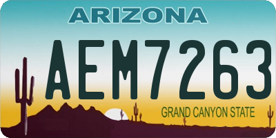 AZ license plate AEM7263