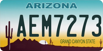 AZ license plate AEM7273