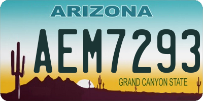 AZ license plate AEM7293