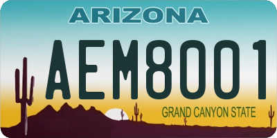 AZ license plate AEM8001