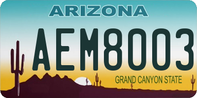AZ license plate AEM8003