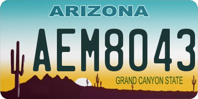 AZ license plate AEM8043