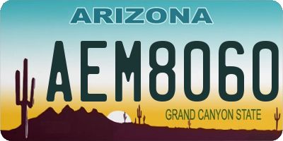 AZ license plate AEM8060
