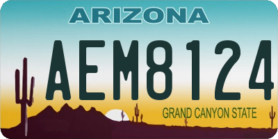 AZ license plate AEM8124